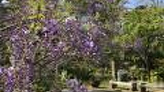 境内が綺麗です