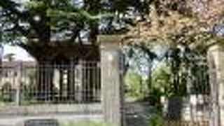 中に入るとベーリック・ホールが