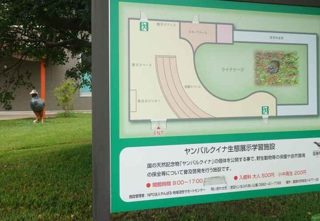 ヤンバルクイナ生態展示学習施設 クチコミ アクセス 営業時間 国頭 大宜味 フォートラベル ヤンバルクイナ生態展示学習施設 クチコミ アクセス 営業時間 国頭 大宜味 フォートラベル