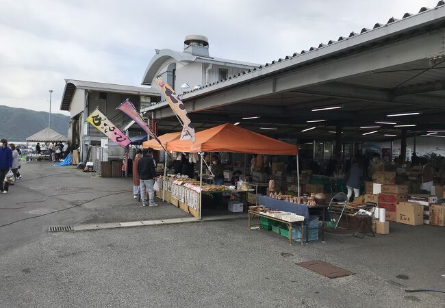 最近は天候がいいので豊漁のようでした