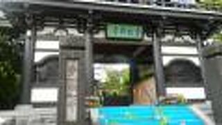 都会のオアシス