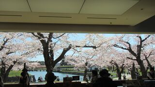 店内のカフェスペースは公園とは反対側で景色は見えにくい