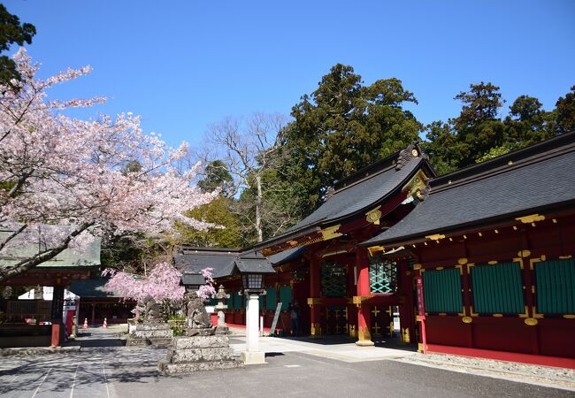 鹽竈神社花まつり