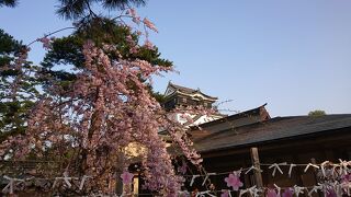 桜の時期に龍城神社側から眺めました