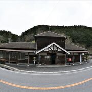 桜を背景に列車を