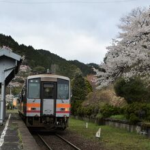 桜の木がある