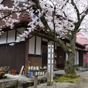 ３６０ｍの桜のトンネル