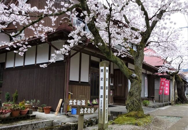 ３６０ｍの桜のトンネル