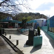 新屋島水族館 クチコミ アクセス 営業時間 高松 フォートラベル 新屋島水族館 クチコミ アクセス 営業時間 高松 フォートラベル