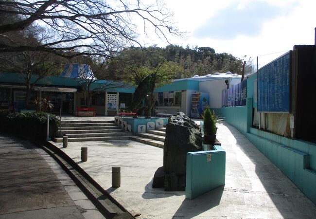 新屋島水族館 クチコミ アクセス 営業時間 高松 フォートラベル 新屋島水族館 クチコミ アクセス 営業時間 高松 フォートラベル