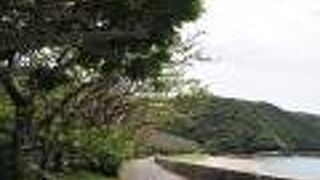 デイゴの花はなかったけれど