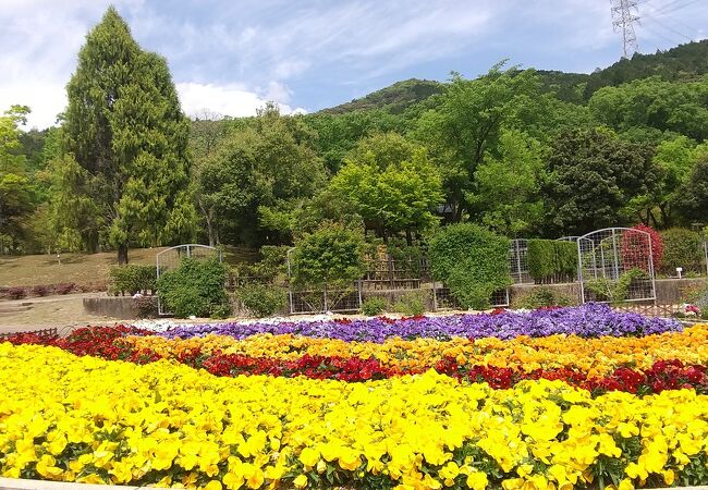 都市緑化植物園 グリーンピア春日井 クチコミ アクセス 営業時間 春日井 フォートラベル 都市緑化植物園 グリーンピア春日井 クチコミ アクセス 営業時間 春日井 フォートラベル