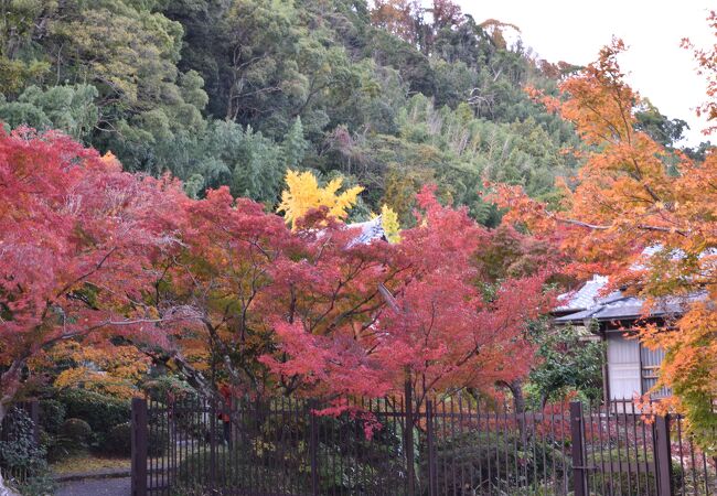 紅葉の穴場