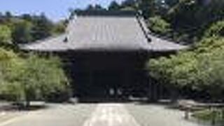 鎌倉最大級の祖師堂