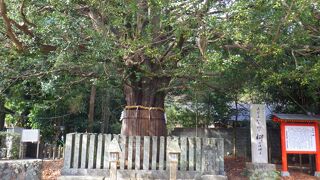 縁結びの御利益があるとのこと