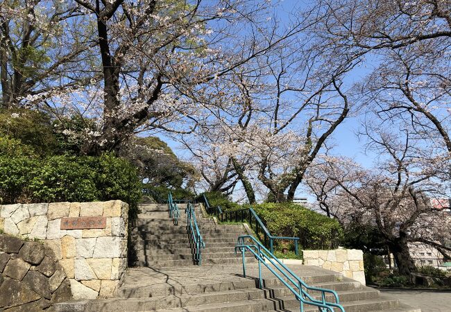 掃部山公園 クチコミ アクセス 営業時間 横浜 フォートラベル 掃部山公園 クチコミ アクセス 営業時間 横浜 フォートラベル