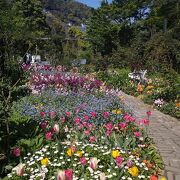 日本庭園もあり