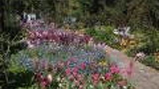 日本庭園もあり