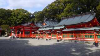 「御神木の梛（ナギ）」の実で作られているなぎ人形