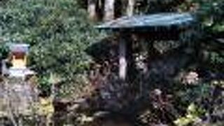 弁天池の奥の方に