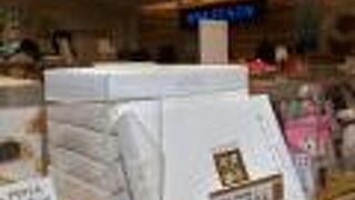 ANA FESTA 羽田65番ゲート店