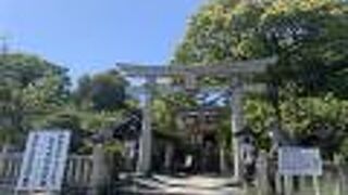 昔と印象が違いますが