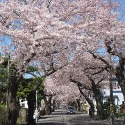 桜の時期は、できれば平日に訪れる方が良い