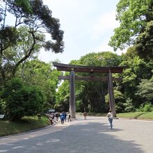 周りの樹木が大きいので　鳥居の大きさが感じられない遠景