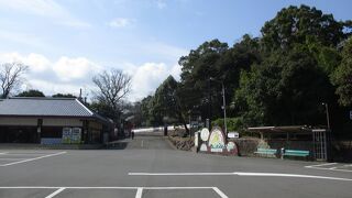 マスクを外してしまいました