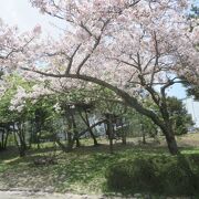 城跡がある総合公園