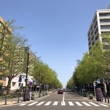 横浜スタジアム前から
