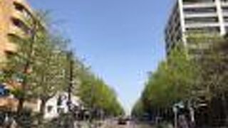 歴史的建造物が立ち並ぶ通り