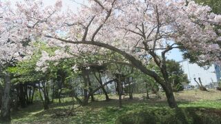 城跡がある総合公園
