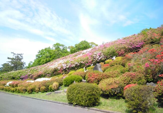 小室山公園つつじ祭り クチコミ アクセス 営業時間 伊東温泉 フォートラベル