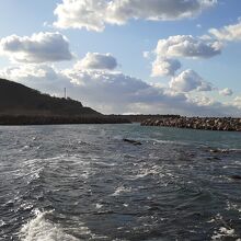 公園から眺める日本海の景色