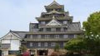 見る角度によって姿、形が異なって見える