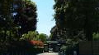 綺麗な花々が色採リどりに