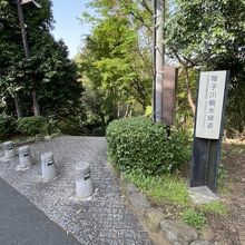 帷子川親水緑道
