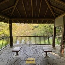 帷子川親水緑道