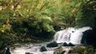 美しい蓼科大滝の流れ