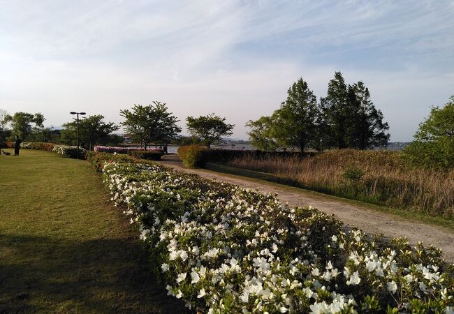 霞ヶ浦総合公園 クチコミ アクセス 営業時間 土浦 フォートラベル 霞ヶ浦総合公園 クチコミ アクセス 営業時間 土浦 フォートラベル