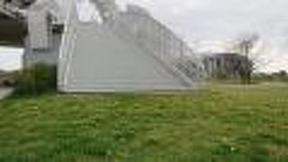 白浜公園に咲くタンポポと、橋の白のコントラストが綺麗でした