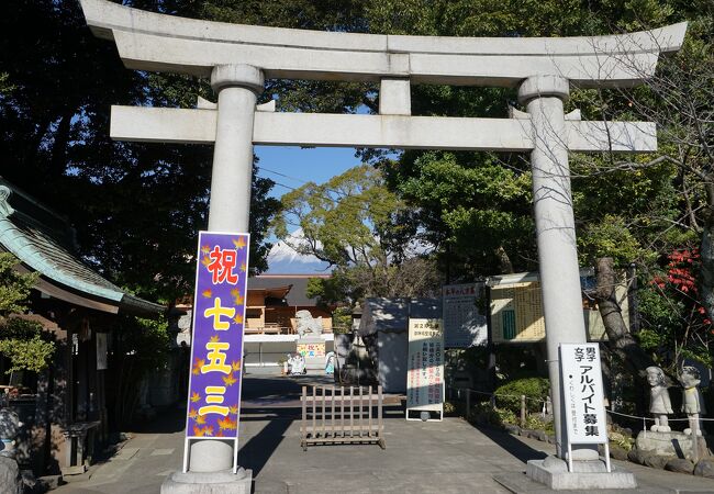 富士のおすすめ観光スポット クチコミ人気ランキングtop フォートラベル 静岡県