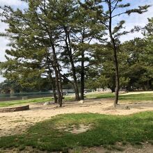 園内の風景　松林と砂浜