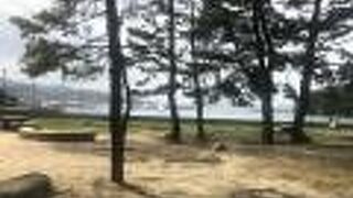 ヨットハーバーがある松林の公園に行ってきました。