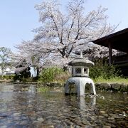 今井まちなみ交流センター華甍 クチコミ アクセス 営業時間 橿原 フォートラベル 今井まちなみ交流センター華甍 クチコミ アクセス 営業時間 橿原 フォートラベル