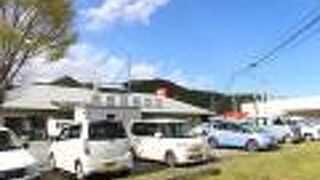 裏手に桜並木があるようでした