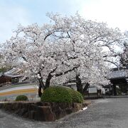 桶狭間の戦いの首検証の寺