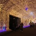 イルミネーションと地ビールと温泉をお目当てに