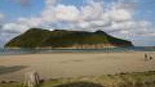 猿の島、幸島は今